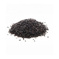 100% Pure Agro Produit Graines de sésame naturelles biologiques de la plus haute qualité Séchées saines de l'exportateur indien Type de traitement brut
