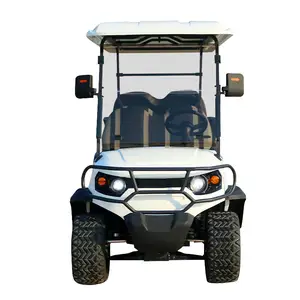 2 Pasajeros carros de golf eléctrico mini utilitario carrito de golf calle legal con CE DOT para la venta