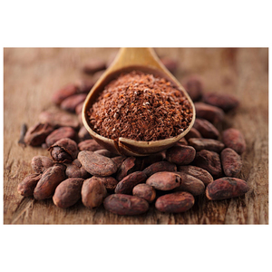 Venta al por mayor de granos de cacao de alta calidad a bajo precio - Product Image 1