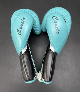 ราคาขายส่ง คุณภาพสูง ดีไซน์สวย ไม่มีการตัดเย็บแบบ boxing  ถุงมือชกมวย No Boxing No Life ทำจากหนังวัวแท้ รุ่น AI-BG-152 - Product Image 2