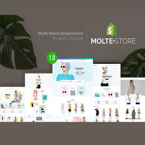 Servicios de Creación de Tiendas Shopify y Desarrollo de Comercio Electrónico en India - Product Image 6