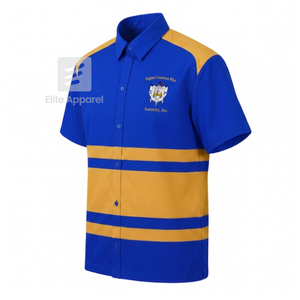 Chemise de sororité Sigma Gamma Rho personnalisée, logo brodé sur le devant, rayures bleues et dorées, pour vêtements grecs féminins. - Product Image 2