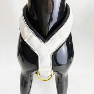 Arnés Reflectante para Perro con Correa Ajustable y Soporte de Pecho Acolchado Suave para Paseos Nocturnos, Entrenamiento y Actividades al Aire Libre - Product Image 1