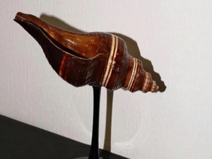 Verre à champagne élégant en forme de flûte de déesse, verre à martini en coquillage, cadeau de mariage pour demoiselle d'honneur, tasse en coquillage naturel - Product Image 2