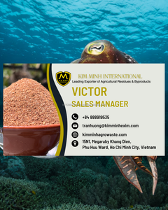 Hueso de Sepia Seco Premium, Calcio Natural de Grado A, Ingrediente para Alimento Acuícola, 12% de Humedad, de Kim Minh International Vietnam - Product Image 6