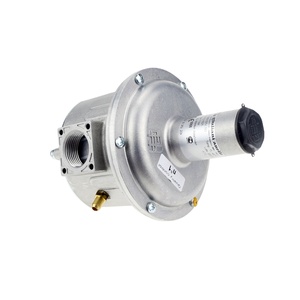 Regulador de presión de aluminio del Gobernador de gas Giuliani OR Italy FGDR40 con filtro incorporado La válvula electromagnética - Product Image 6