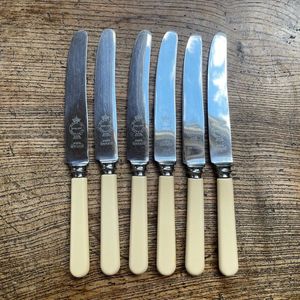 Collection de Couverts en Os Poli avec Manche en Os – Ensemble de Fourchettes à Salade en Métal avec Manche Ivoire – Ustensiles de Service - Product Image 6