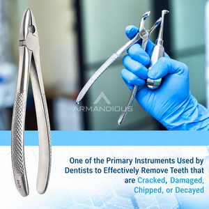 10 Piece Adult Dental Extraction <b>Pliers</b> <b>Set</b> Stainless Steel Tooth Removal Surgical Instruments Reusable CE Approved Wholesale - Product Image 5