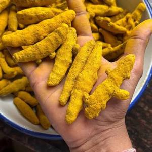 Curcuma entier séché de qualité supérieure HARYANA AD, à haute teneur en curcumine 7-9%, qualité alimentaire naturelle, en vrac, exportation Inde - Product Image 1