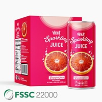 Voor VINUT Vietnam Fabriek 320ml Kokos Sprankelende Sap Zuurzak Passievrucht Mango Watermeloen Ananas Fruit Groente Sap Privé