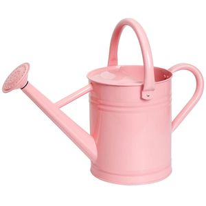 Long Spout Metal Watering Can <b>Precise</b> Water Flow Ideal For Delicate Plants Indoor Gardening Use - Product Image 1