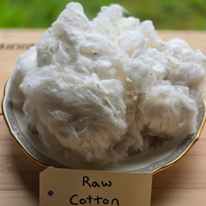 ฝ้ายดิบออร์แกนิกแบบมัดเป็นก้อนสำหรับตลาดระหว่างประเทศ - Product Image 3