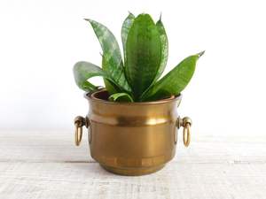 Jardinière décorative en métal pour une décoration intérieure festive, créant un espace vert chaleureux et accueillant - Product Image 2