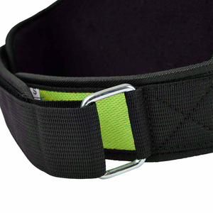 <b>Chain</b> Dipping <b>Belt</b> Heavy Duty Nylon Padded for Weighted Pull Ups Dips Gym Powerlifting Fitness <b>Belt</b> Wholesale Supplier - Product Image 6