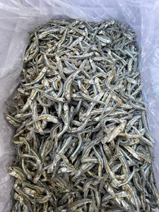 BEST-SELLER |   Anchois séchés pour la cuisine, soupes, bouillons, snacks, transformation alimentaire, vente en gros, Vietnam - Product Image 5