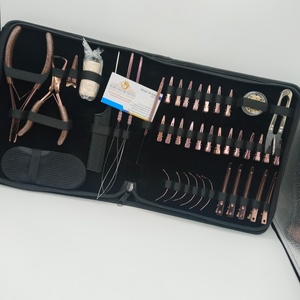 Kit de pinces pour extensions de cheveux en acier inoxydable rose doré, pinces à 2 trous avec clips et outils à boucles - Product Image 1