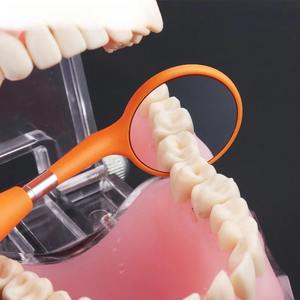 Espejos Dentales Autoclavables, Herramientas para Clínica Dental, Espejos Coloridos de una Sola Cara con Superficie Frontal - Product Image 4