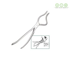 Premium Quality Rib <b>Shears</b> Orthopedic Surgical Instrument Precision Stainless Steel <b>Tool</b> for Hospitals and Clinics Rib <b>Shears</b> - Product Image 3