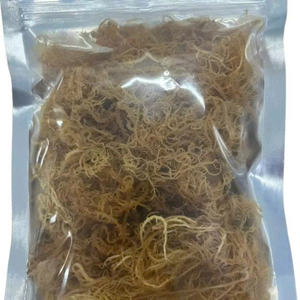 Meilleure Offre : Algues Marines Blanches Premium Séchées (Kappaphycus Alvarezii) Origine Vietnam, Emballage Sous Vide Sachet Zip, Prix de Gros - Product Image 6