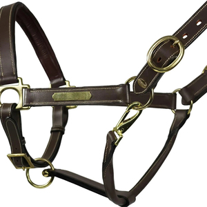 Dernier design, prix abordable : Harnais d'équitation pour l'entraînement / Meilleurs harnais de cheval réglables avec sangle de nez, faible MOQ - Product Image 2