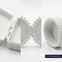 Service d'impression 3D SLS industriel, prototypage rapide en nylon PA12, tests fonctionnels