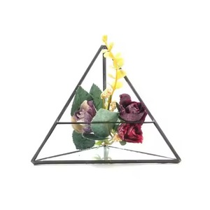 Decorative <b>Frame</b> Metal Terrarium Glass Planter Modern Indoor <b>Plant</b> Holder Geometric Home Accent - Product Image 2