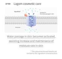 LAGOM CELLUP MICRO FOAM CLEANSER Nettoyant Moussant Micro-Particules pour Tous Types de Peaux Nettoyage Profond des Pores Nourrissant Hydratant Doux Visage Femme Adulte Coréen
