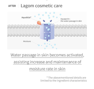 Limpiador Facial en Microespuma LAGOM CELLUP, Piel Grasa, Limpieza Profunda de Poros, Suave, Uso Femenino, Marca Coreana, Otros Ingredientes - Product Image 5