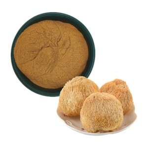 Extrait de champignon Crinière de lion le plus vendu 10:1, poudre d'Hericium Erinaceus 100% pure et naturelle de haute qualité, en gros, provenant d'Inde - Product Image 2