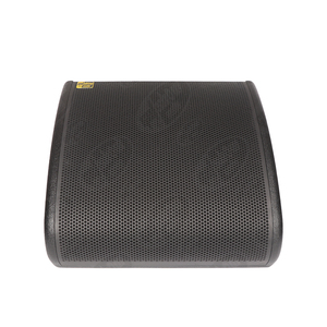 Moniteur de scène coaxial de 15 pouces avec aimant néodyme, 800 W, amplificateur intégré pour voix, groupe et performances live - Product Image 1