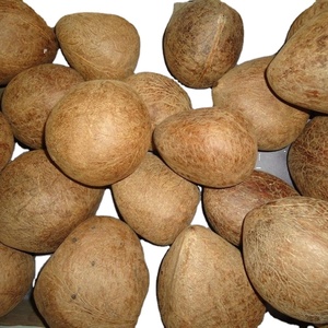 EXPORTACIÓN COCO SECO - Product Image 2