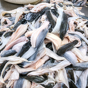 ราคาดีที่สุด หนังปลาแช่แข็งสด / หนังปลาปังกาซิอุสแช่แข็ง สำหรับคอลลาเจน / คุณอลินา - Product Image 3