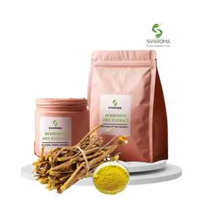 Extracto Seco de Berberina Silvestre a Base de Plantas en Polvo para la Fabricación de Ingredientes Dietéticos y Aplicaciones Industriales a Granel - Product Image 3