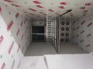 Horno de secado de mango de alta eficiencia industrial, Máquina secadora de frutas, Máquina secadora de frutas y verduras, Máquina secadora de mango - Product Image 6