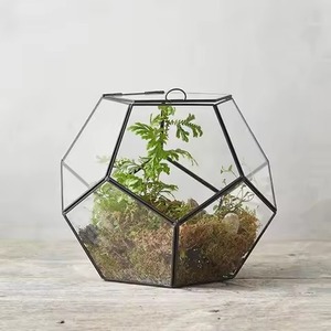 Elegante Terrario de Vidrio y Metal, Macetero, Caja de Exhibición para Jardín Interior, Adorno Geométrico Elegante para el Interior del Hogar - Product Image 4