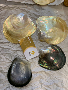 วัสดุงานฝีมือเปลือกหอยทำมือ เปลือกหอยเป๋าฮื้อ ของตกแต่งจากเวียดนาม โรงงานขายส่ง แผ่นมุก ของใช้ในครัว - Product Image 2