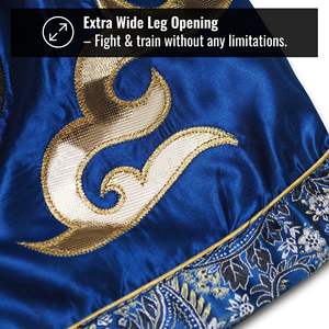 Pantalones Cortos de Muay Thai para Hombre, Estampado de Rayos, Cintura Elástica, para Entrenamiento, Gimnasio, Kickboxing, Ligeros - Product Image 4