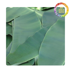 Feuilles de bananier naturelles congelées pour l'emballage alimentaire traditionnel et la fourniture de services de traiteur - Product Image 2