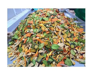 Fournisseur de fruits secs mixtes du Vietnam, fruits coupés assortis de qualité supérieure pour les acheteurs en gros - Product Image 6
