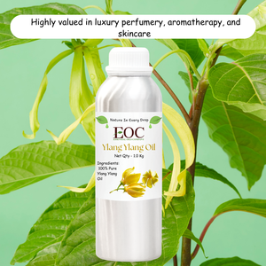 Huile Essentielle d'Ylang Ylang en Gros – Qualité Parfumerie et Fragrance Fine – Exportation Mondiale - Product Image 5