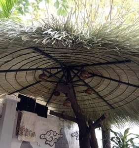 Fibre de toiture en feuilles de palmier de style écologique du Vietnam, conçue pour la fabrication de couvertures de parapluie et les applications de toiture tropicale naturelle - Product Image 5