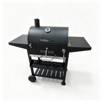 Barbecue au charbon de bois en acier inoxydable pour l'extérieur, avec table latérale, pour le camping, les barbecues, les pique-niques et la maison