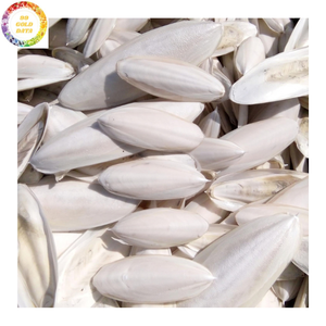 Os de Seiche Séché de Qualité Supérieure VF pour Oiseaux – Friandise pour Perroquets, Canaris, Pinsons, Bouvreuils et Fournitures d'Élevage en Volière, Idéal pour les Magasins d'Animaux - Product Image 5