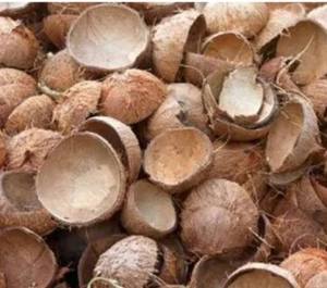 Cáscara de Coco Seca Premium, Materia Prima Natural para la Producción de Carbón Vegetal y Carbón Activado - Product Image 1