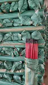 Manches de balai en eucalyptus couleur naturelle 120 cm diamètre 20-25 mm Qualité première couche Balai en palmier GMEX JSC Bac Giang Sac tissé - Product Image 4