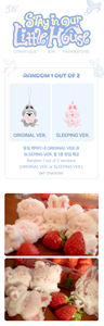 Stray Kids 6TH FANMEETING (STAY in Our Little House) - SKZOO SECRET PLUSH MICRO Ver (Beneficio de Pre-venta) - Product Image 3