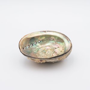 Decorative <b>abalone</b> <b>shell</b> sage burning seashell <b>abalones</b> competitive price natural seashells - Product Image 3