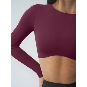 <b>Women</b> Seamless Solid Color <b>Long</b> Sleeve Yoga <b>Top</b> Crew Neck Cut-Out Design Activewear High Waist Shorts Set - Product Image 5