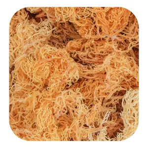 Sea Moss: Avantages pour la santé et effets secondaires, Tom