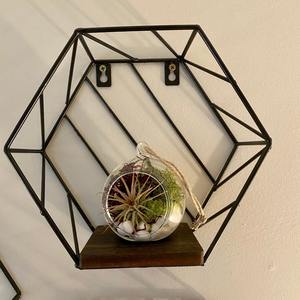 Terrarium suspendu en verre rond pour plantes d'intérieur, succulentes, mousse, décoration de la maison, présentation en vitrine et aménagement de jardin, provenant d'Inde - Product Image 3